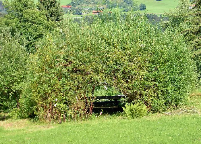 Rath Oberreute